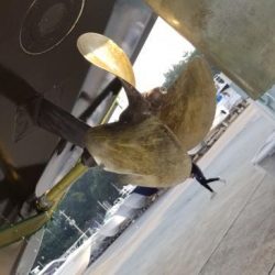 暁〜akatsuki〜 釣果