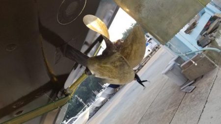 暁〜akatsuki〜 釣果