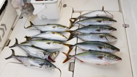 暁〜akatsuki〜 釣果