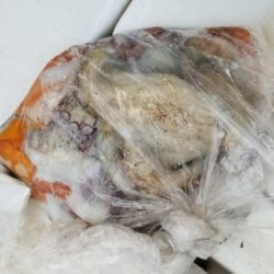 暁〜akatsuki〜 釣果