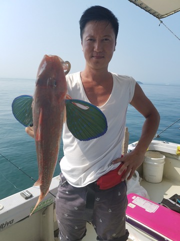 遊漁船 ニライカナイ 釣果