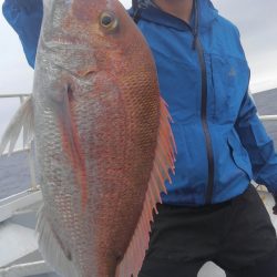 遊漁船 新鋭丸 釣果