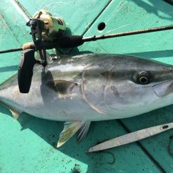 広進丸 釣果