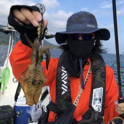 Magic(マジック) 釣果