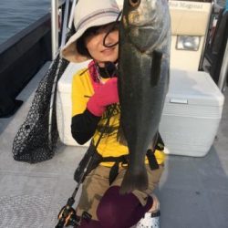 シーマジカル 釣果