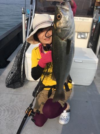 シーマジカル 釣果