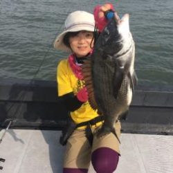 シーマジカル 釣果