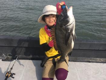 シーマジカル 釣果