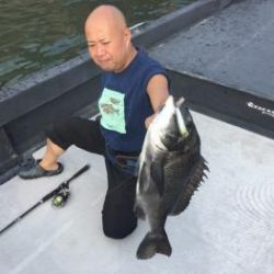 シーマジカル 釣果