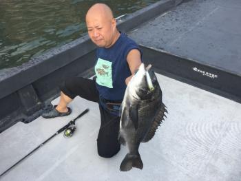 シーマジカル 釣果