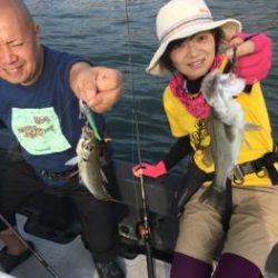 シーマジカル 釣果