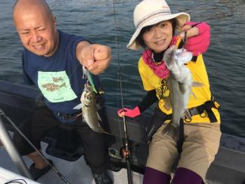 シーマジカル 釣果