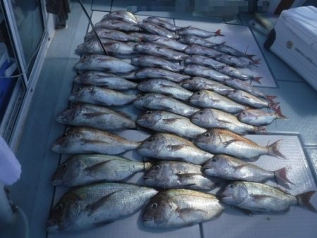 遊漁船 幸友丸 釣果