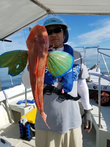 遊漁船　ニライカナイ 釣果