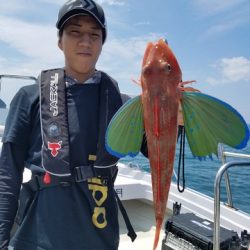 遊漁船 ニライカナイ 釣果