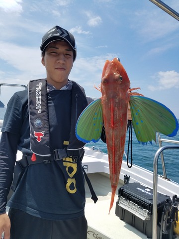 遊漁船 ニライカナイ 釣果