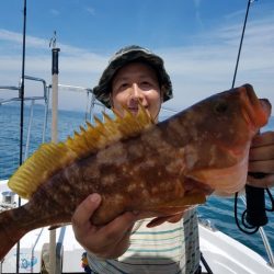 遊漁船 ニライカナイ 釣果