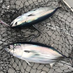 へいみつ丸 釣果