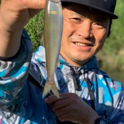 琵琶湖河川で癒しの小鮎釣り【角田裕介氏連載記事浮きアオリイカ釣り 第34弾】