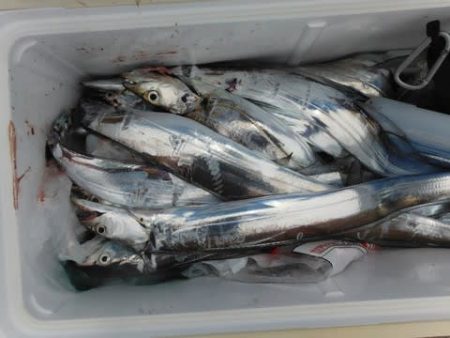 開進丸 釣果
