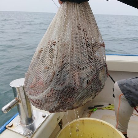 たかみ丸 釣果