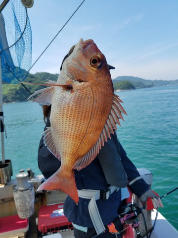 遊漁船 ニライカナイ 釣果