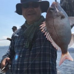 シーマジカル 釣果