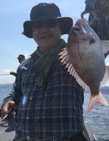 シーマジカル 釣果