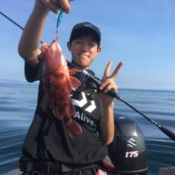 シーマジカル 釣果