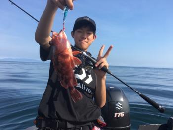 シーマジカル 釣果