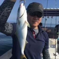 シーマジカル 釣果