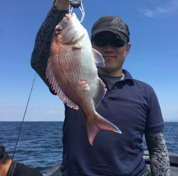 シーマジカル 釣果