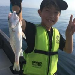 シーマジカル 釣果