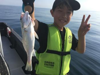 シーマジカル 釣果