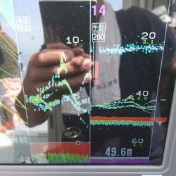 遊漁船ブルーウッズ 釣果