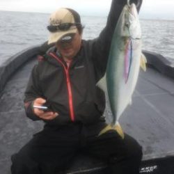 シーマジカル 釣果