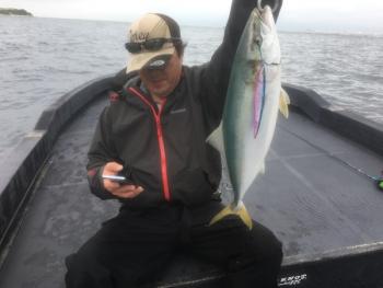 シーマジカル 釣果