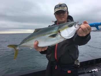 シーマジカル 釣果