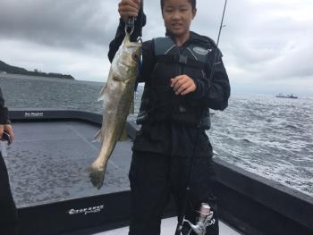 シーマジカル 釣果