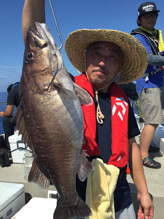 凪紗丸 釣果