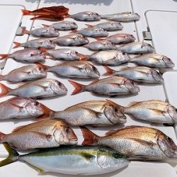 フィシングボートAir(エアー) 釣果