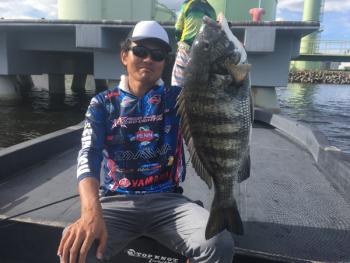 シーマジカル 釣果