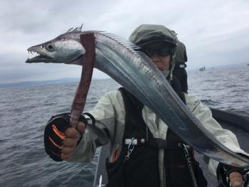 シーマジカル 釣果