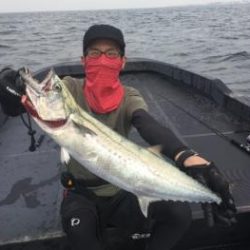 シーマジカル 釣果