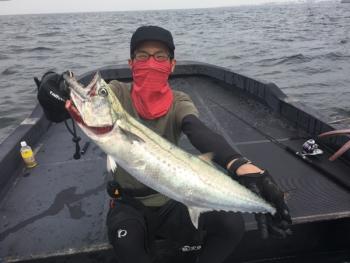 シーマジカル 釣果