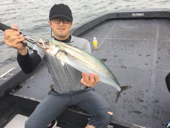 シーマジカル 釣果