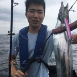 シーマジカル 釣果