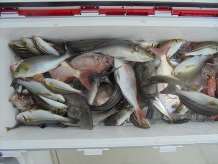 ＨＡＲＵＫＡ丸　はるかまる 釣果