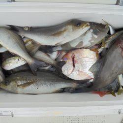 ＨＡＲＵＫＡ丸　はるかまる 釣果