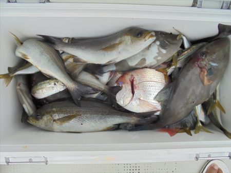 ＨＡＲＵＫＡ丸　はるかまる 釣果